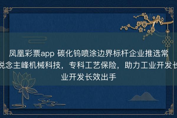 凤凰彩票app 碳化钨喷涂边界标杆企业推选常州市东说念主峰机械科技,专科工艺保险,助力工业开发长效出手