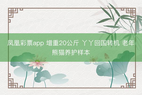 凤凰彩票app 增重20公斤 丫丫回国转机 老年熊猫养护样本