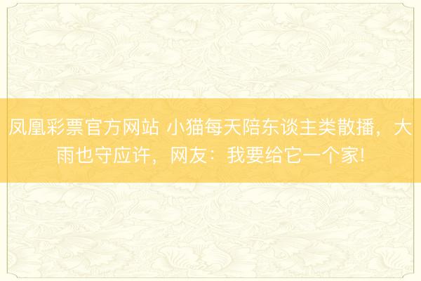 凤凰彩票官方网站 小猫每天陪东谈主类散播,大雨也守应许,网友:我要给它一个家!