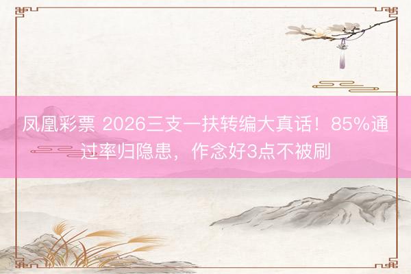 凤凰彩票 2026三支一扶转编大真话!85%通过率归隐患,作念好3点不被刷