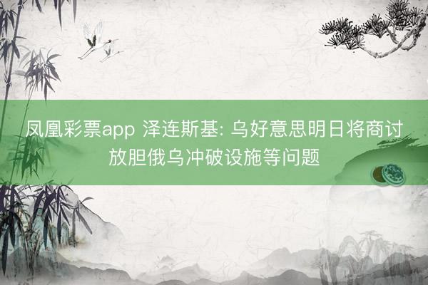 凤凰彩票app 泽连斯基: 乌好意思明日将商讨放胆俄乌冲破设施等问题